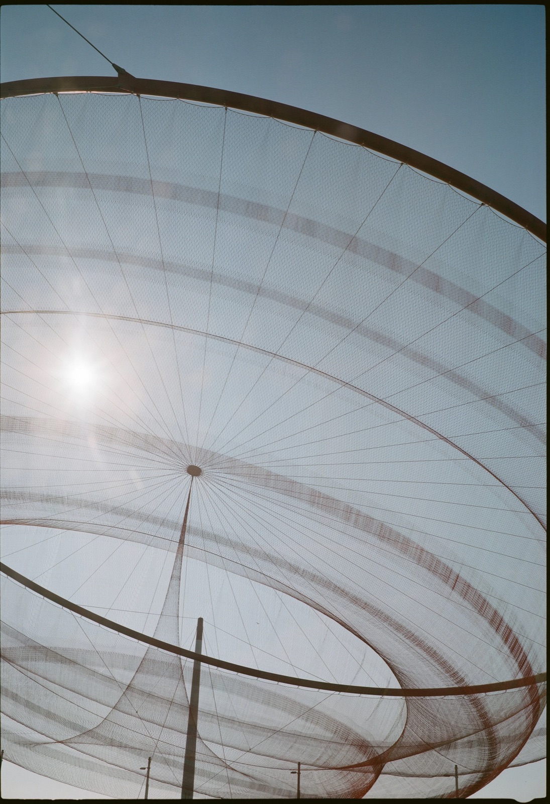 Sun burning through a vast suspended mesh canopy, its cables radiating from a central point