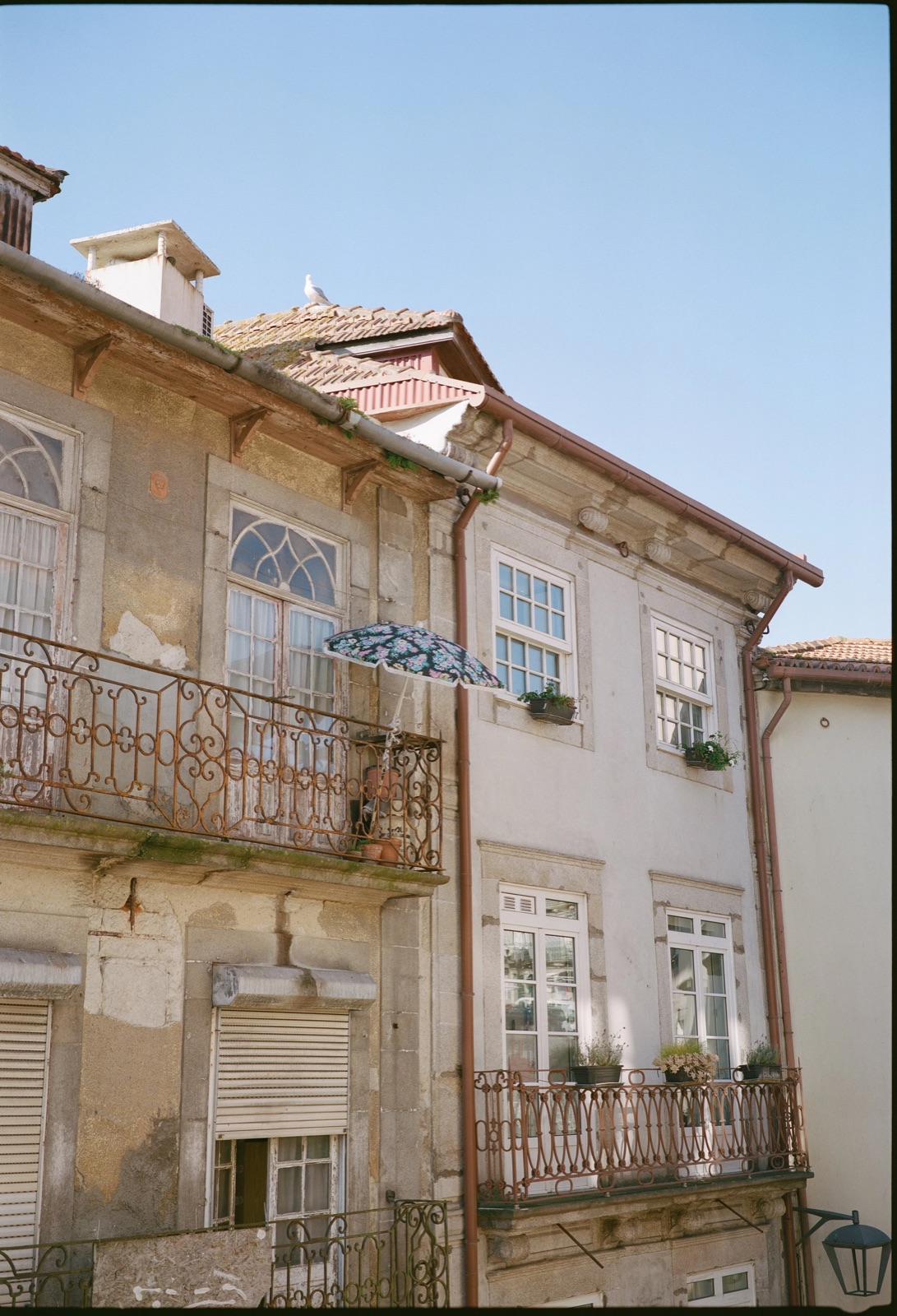 Peeling old townhouse facades with wrought-iron balconies, an open umbrella wedged on one railing