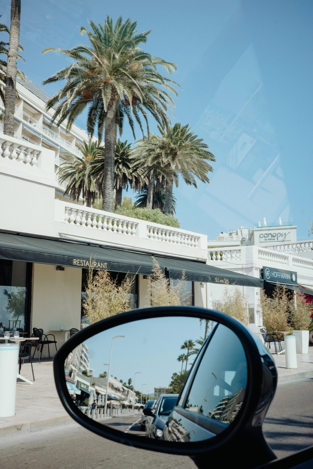 Palm-lined seafront restaurant seen past a car's wing mirror, the street repeated in the mirror's reflection