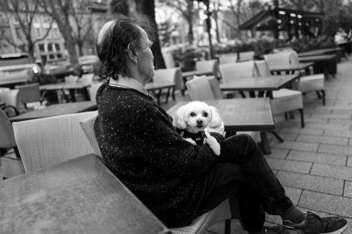Woman on a cafe terrace bench cradling a small white dog that looks straight at the lens