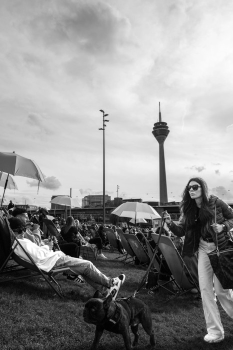 Woman in sunglasses walking a French bulldog past rows of deckchairs, television tower rising behind