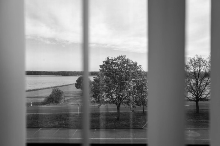 View through a gap in pale curtains onto a lone tree, an empty road and flat farmland