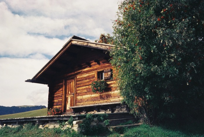 Wooden alpine hut with window flower boxes beside a berry-laden tree on a grassy slope