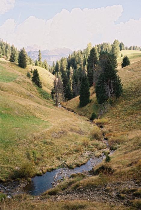 Narrow stream winding through a grassy alpine hollow lined with dark conifers, peaks in haze beyond