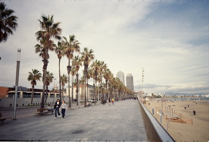Palm-lined seaside promenade with walkers, sand and towers in the distance