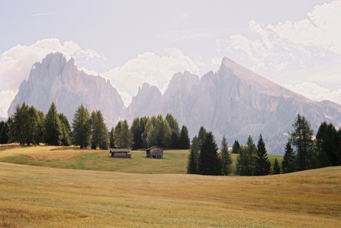 Two weathered hay barns on a golden alpine meadow, larch trees and hazy peaks behind
