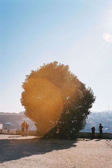 Sun flaring through a lone round tree on a dusty terrace above a river city, couples in silhouette