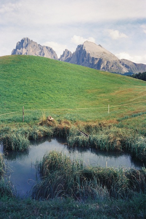 Reedy pond below a green alpine pasture with fence wire, craggy Dolomite peaks rising behind
