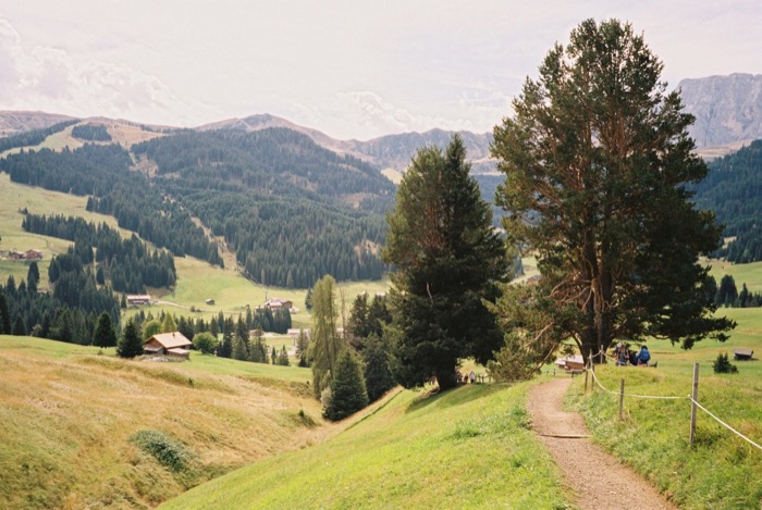 Gravel footpath curving through alpine pasture toward pines, wooded ridges and huts beyond