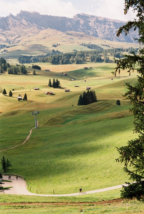 Rolling green alpine pasture scattered with barns and a chairlift pylon, framed by a pine bough