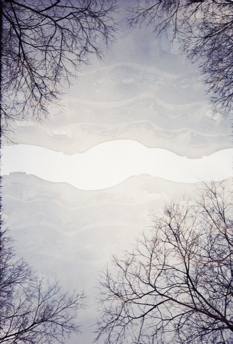 Double-exposed bare winter branches against pale sky, layered into rippling ghost bands