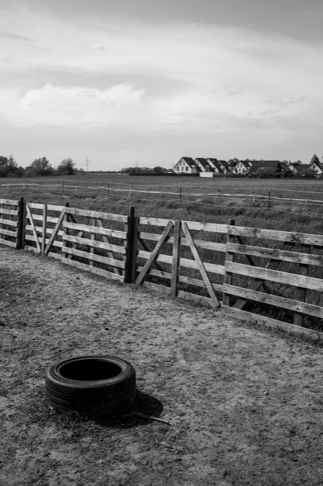 Discarded car tyre lying in the sand of a paddock beside a wooden fence, a row of houses on the horizon