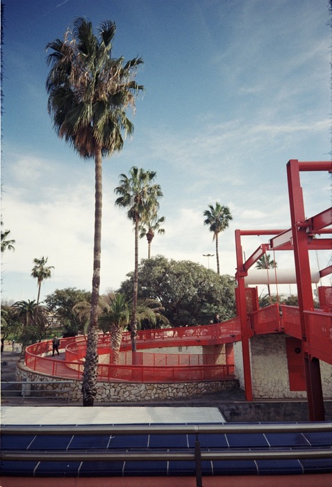 Palm trees beside a curving red steel footbridge under a bright blue sky