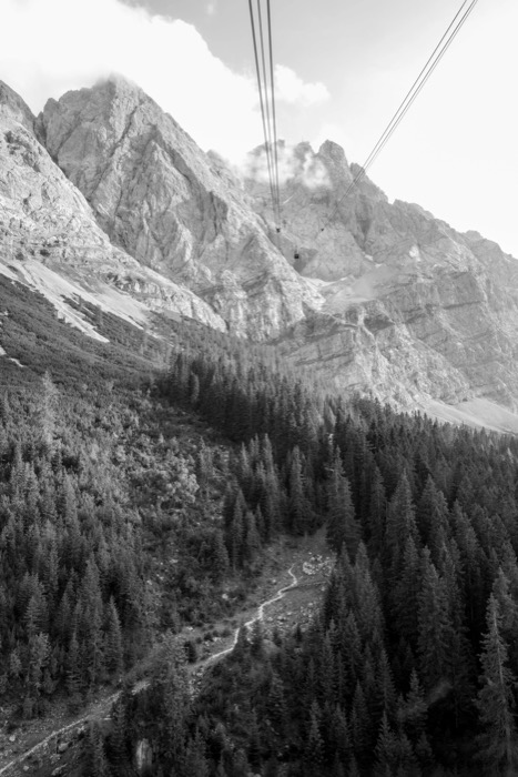 Cable-car wires stretching over a pine forest gorge toward a steep rock face