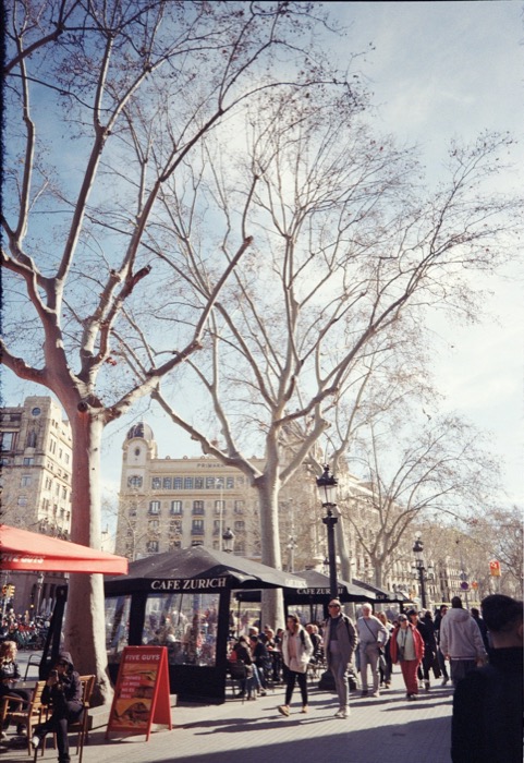 Bare plane trees over a busy boulevard, pedestrians passing the awnings of Cafe Zurich