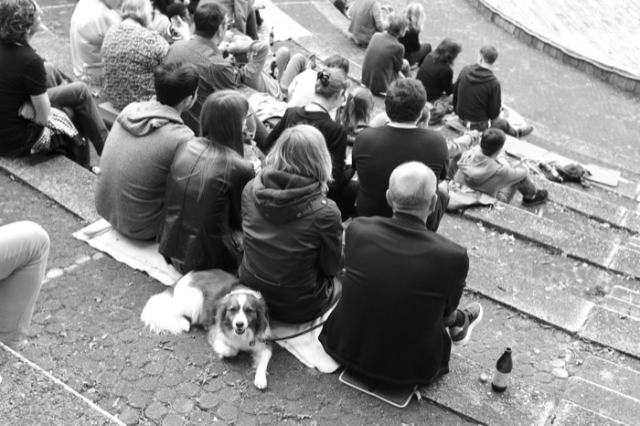 Crowd seated on wide stone steps seen from behind, a collie lying among them beside a bottle