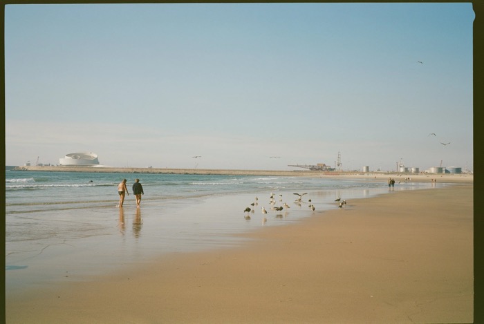 Two people walking the wet sand at low tide, gulls gathered nearby and harbour cranes beyond