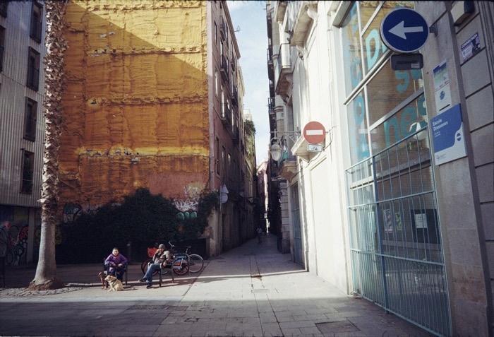 Two people and their dogs on benches by a huge ochre firewall, beside an alley and a no-entry sign