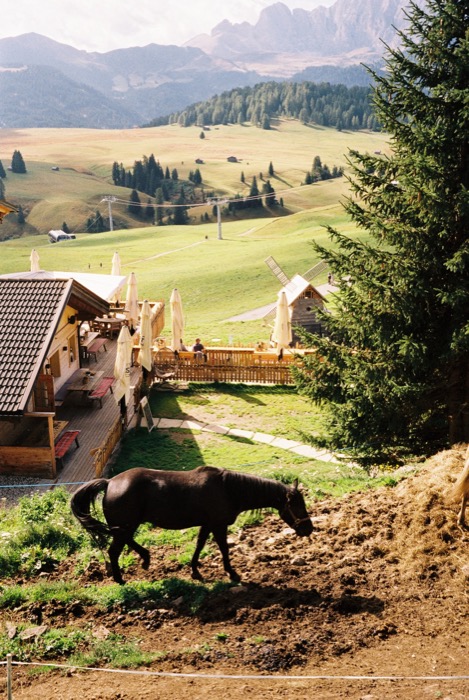 Dark horse grazing on turned earth above an alpine hut terrace, mountains behind