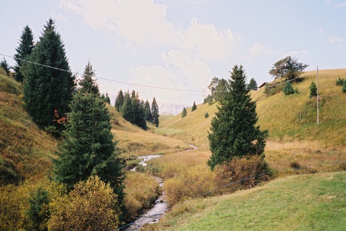 Stream winding through a grassy alpine valley between spruce trees, power line crossing overhead