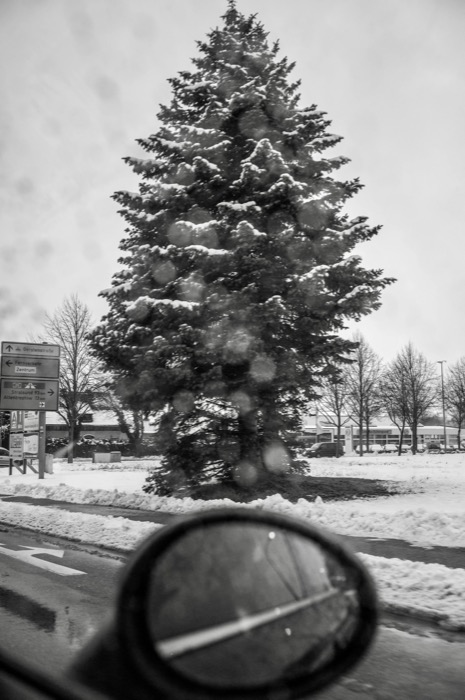 Snow-laden spruce on a roundabout seen from inside a car, wing mirror in the foreground and road signs at left
