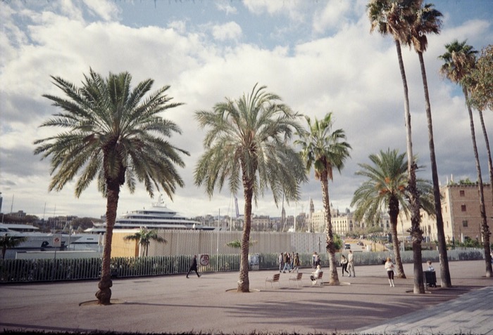 Palm trees over an empty harbour promenade, a large white yacht moored behind the railings