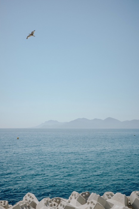 Lone gull gliding over calm blue sea, hazy headland on the horizon and concrete breakwater blocks below