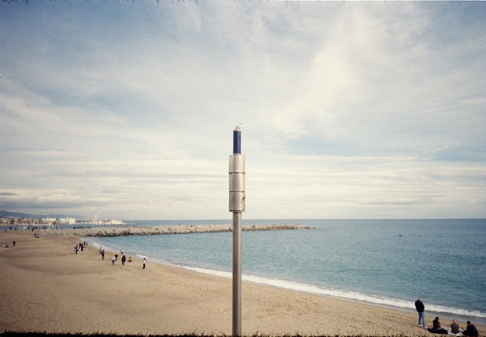 Gull perched on a metal post on an empty beach, breakwater and sea behind