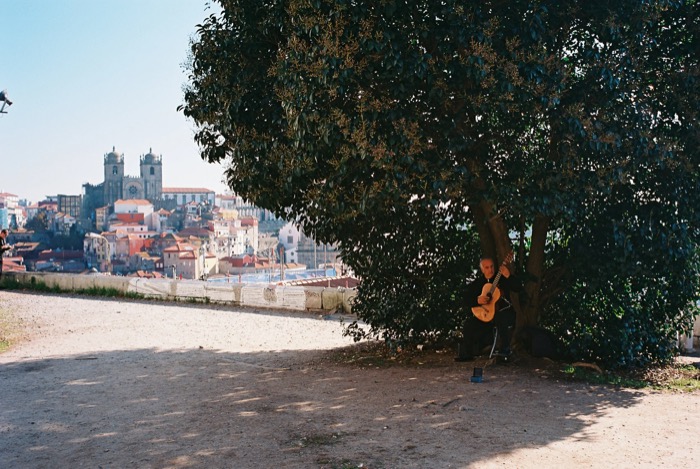 Lone guitarist playing in the shade of a large tree, a twin-towered cathedral across the rooftops