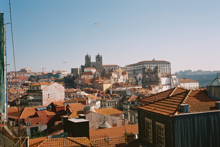 Terracotta rooftops descending toward a hilltop cathedral, gulls in a clear sky
