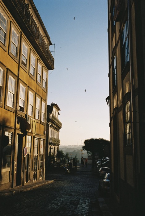 Cobbled street sloping downhill between tall houses, laundry hanging out, gulls wheeling in the sky