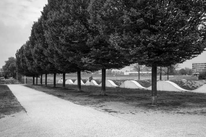 Row of clipped trees along a gravel park path beside a low wave-shaped concrete wall